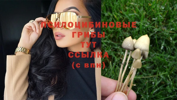 2c-b Аркадак
