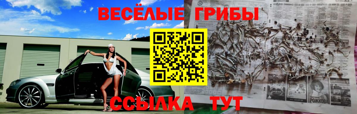Галлюциногенные грибы ЛСД  Вход с VPN  Асбест 